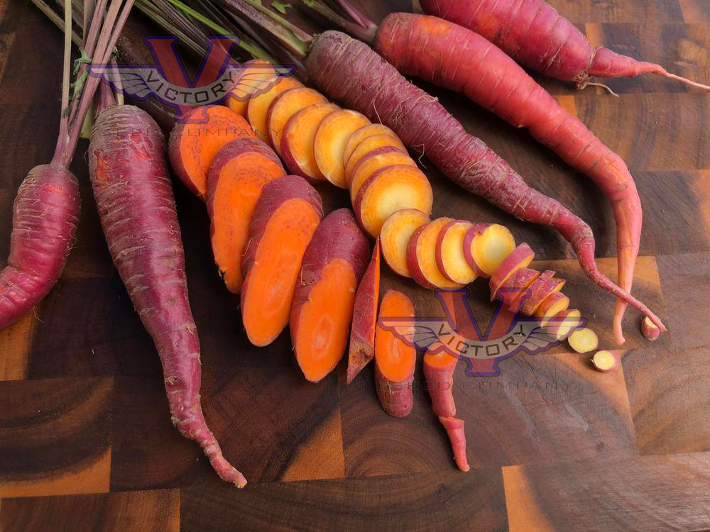 Seeds+Vegetable+Carrot+Red+Giant.+Large+Organic+From+