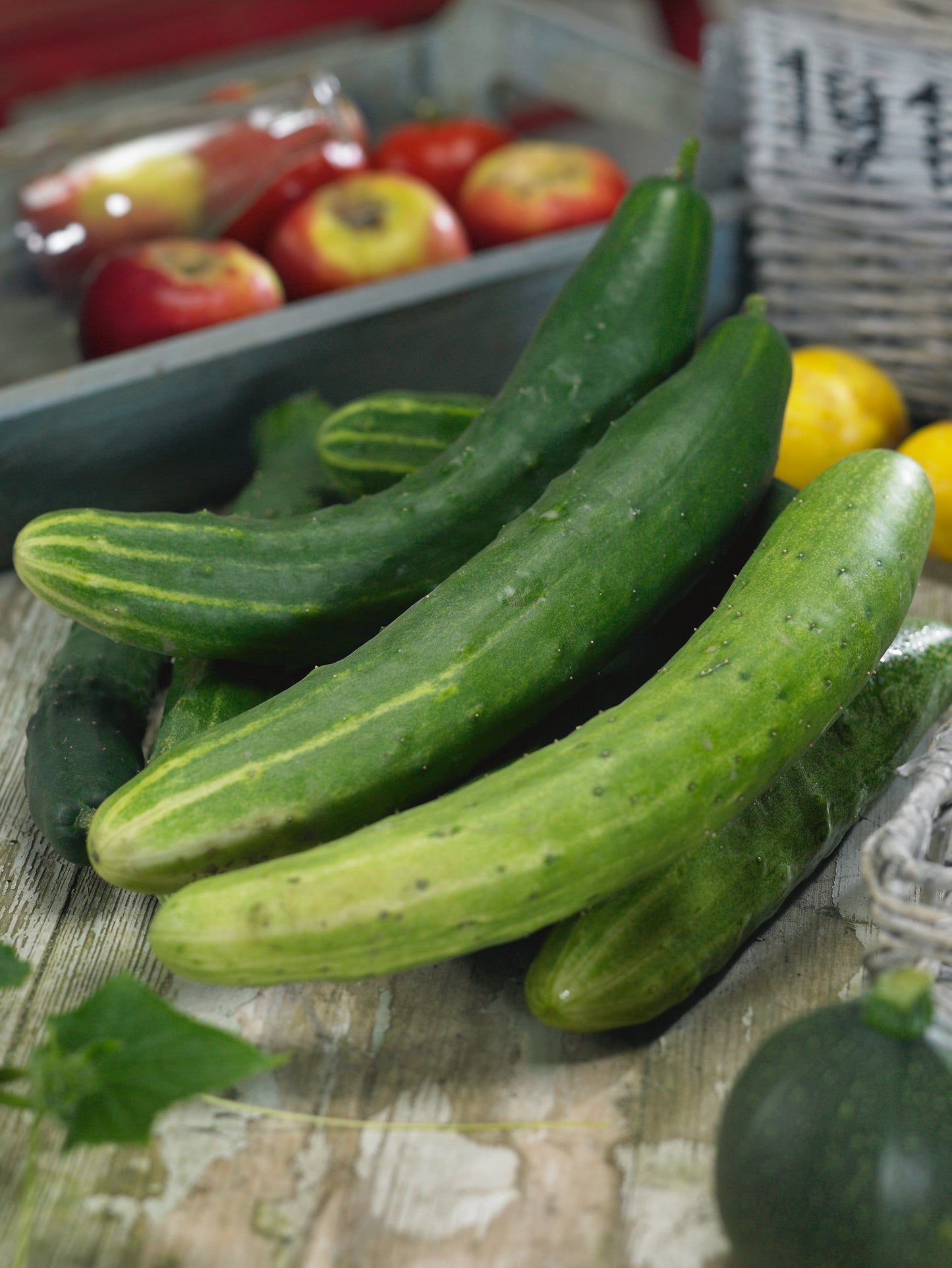 Garden Sweet Burpless F1 Cucumber