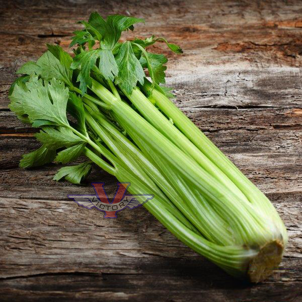 Golden Self Blanching Celery