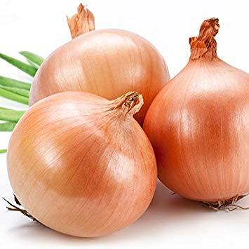 Texas Early Grano 502 PRR Onion