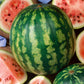 Early Crimson Treat Watermelon