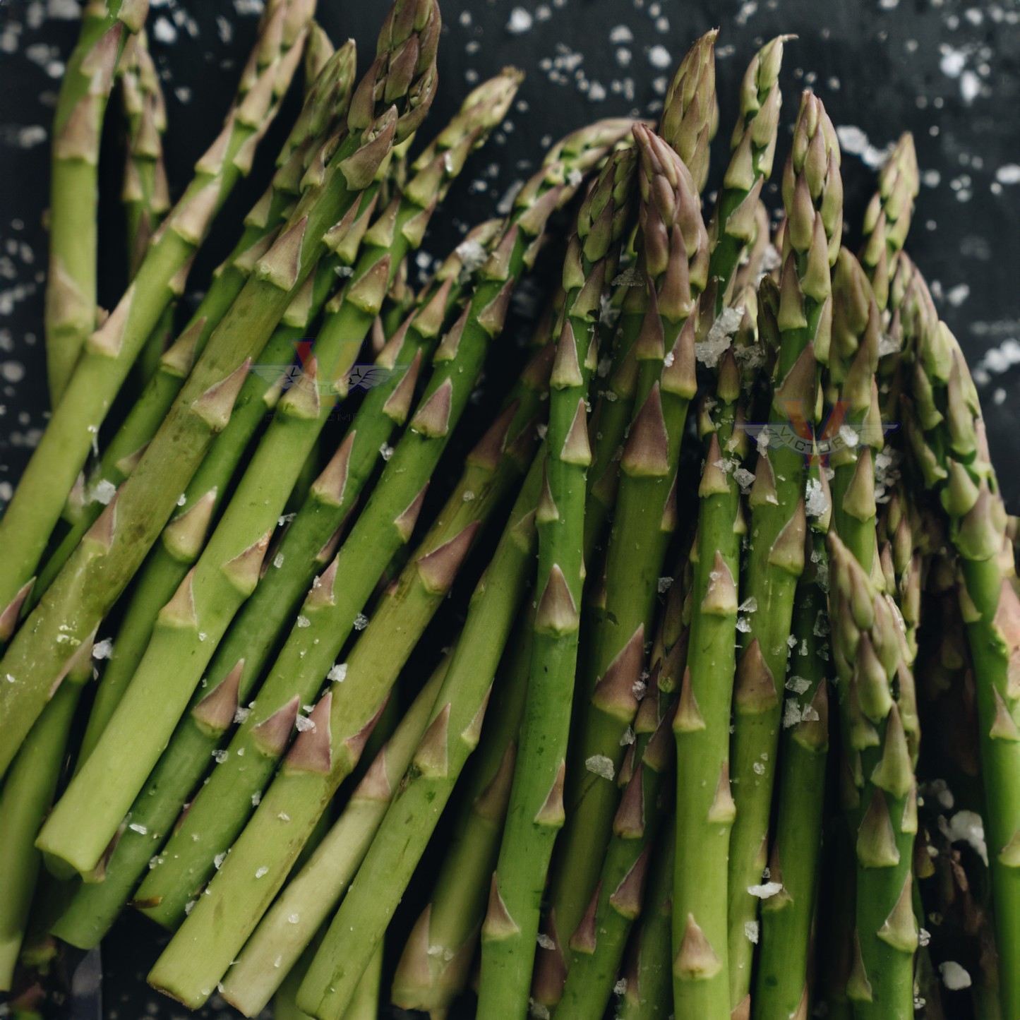 Mary Washington Asparagus