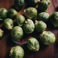 Catskill Brussels Sprouts