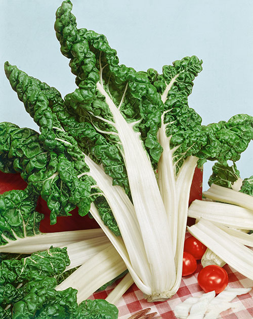 Fordhook Giant Swiss Chard