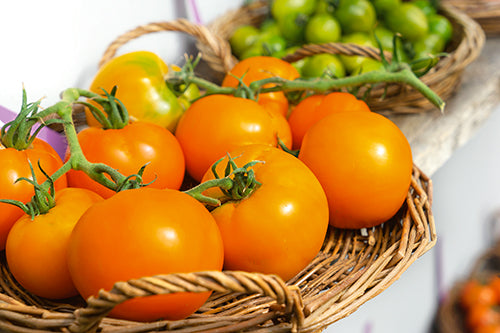 Mountain Gold Tomato