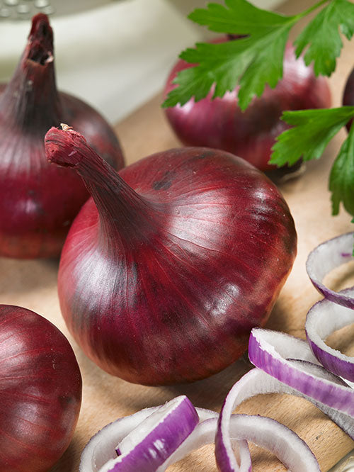 Red Burgundy Onion