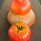 Dwarf Harmonic Convergence Tomato