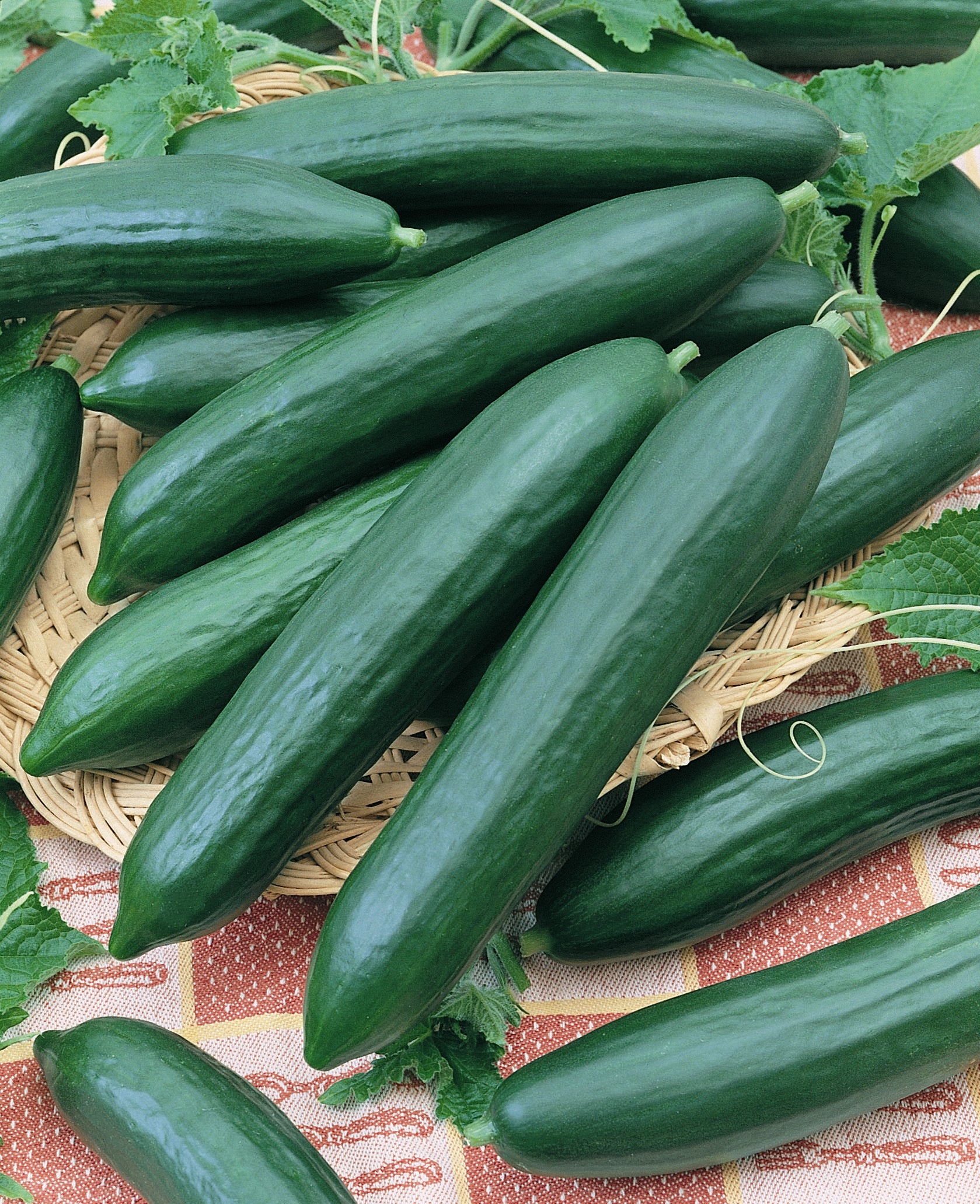 Cucumbo Spiral Slicer Ideal for Cucumbers and Zucchini, Green