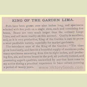 'King of the Garden' description from Joseph Breck's 1887 seed annual.