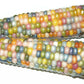 One example of 'Glass Gem' corn kernels.