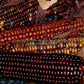 'Indian Ornamental' (aka 'Rainbow') corn.