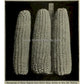'Silver King' Corn from a 1907 photograph.