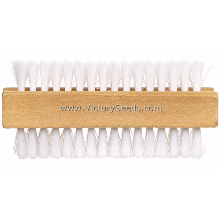 http://victoryseeds.com/cdn/shop/products/fingernail-brush.jpg?v=1657458982