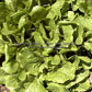 'Winter Density' bibb-romaine lettuce seedlings.