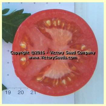 'Chalk's Early Jewel' tomato slice.