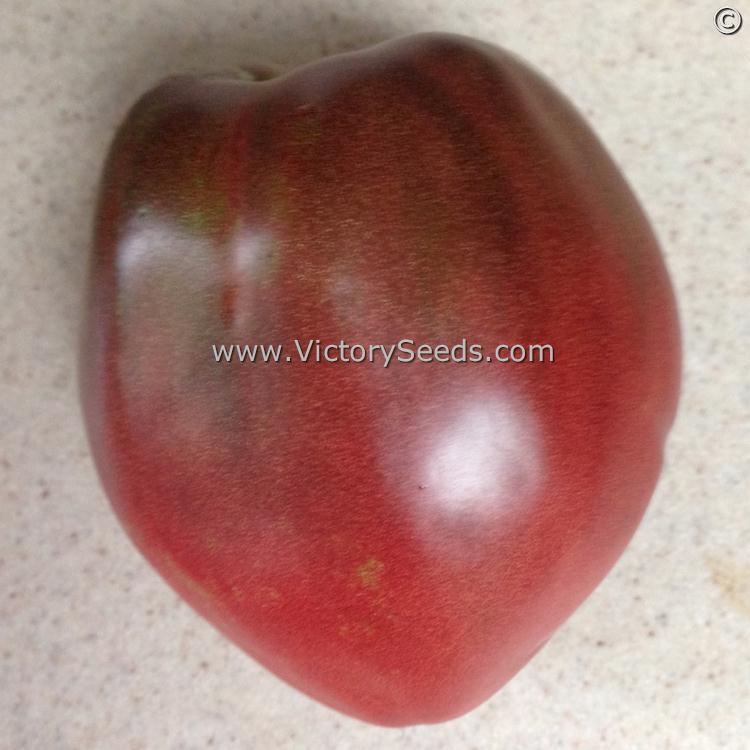 'Cherokee Purple Heart' tomato. Image courtesy of Rock Angier.