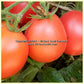 'Dwarf Bendigo Blush' tomatoes.