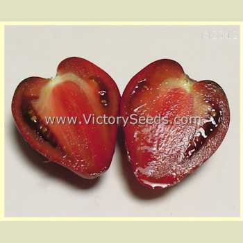 'Dwarf Purple Heart' tomato. Picture courtesy of Patrina Nuske Small.