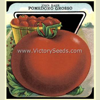 An early 20th century 'John Baer' tomato seed packet lithograph.