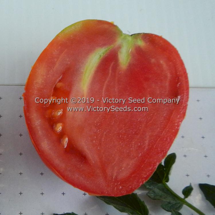 The inside of a 'Mahoning Valley Beauty' tomato.