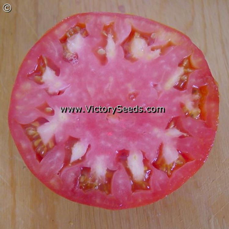 'Marglobe' tomato slice.
