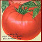 Maule's 'Success' tomato as illustrated on their 1922 seed annual.