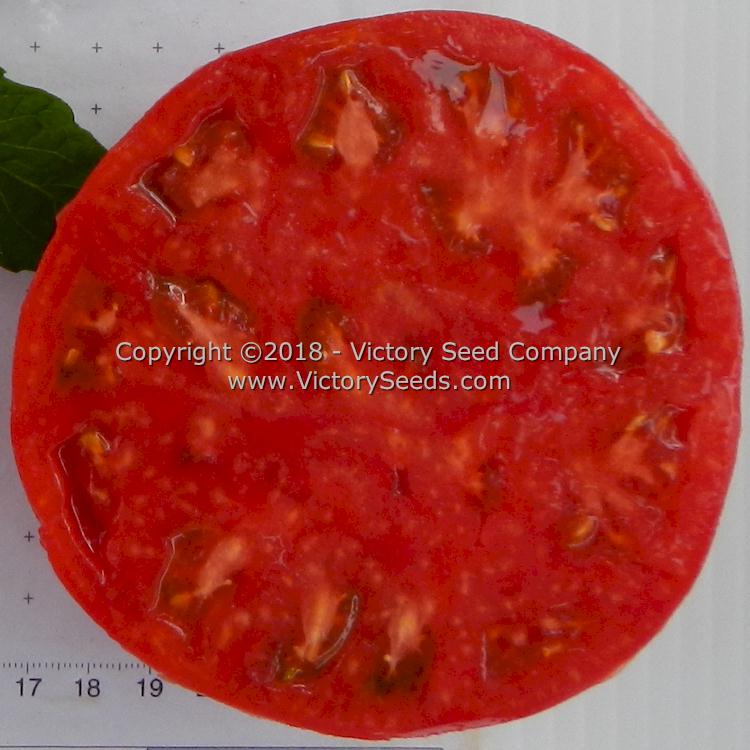 'Springston Heirloom' tomato slice.