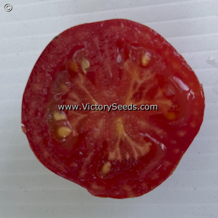 'Stephania Heritage' tomato slice.