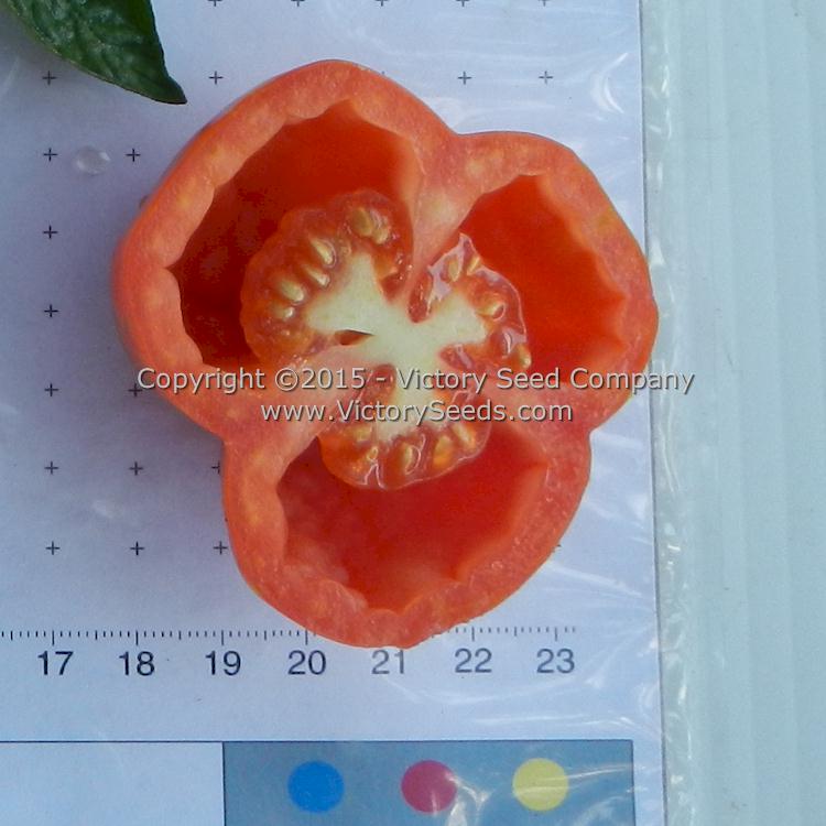 The inside of a 'Schimmeig Stoo' ('Striped Cavern') tomato.