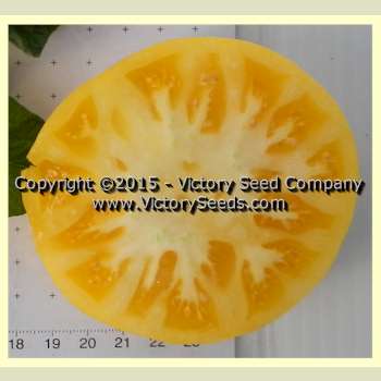 http://victoryseeds.com/cdn/shop/products/tomato_summertime-gold_slice.jpg?v=1657456049