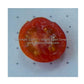 The inside of a 'Velvet Red' tomato.