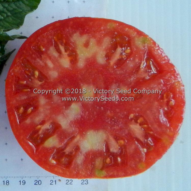 'Wilpena' tomato slice.