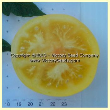 'Yellow Lemon' tomato slice.