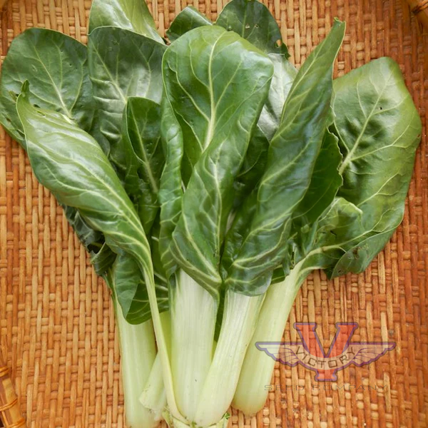 Barese Swiss Chard