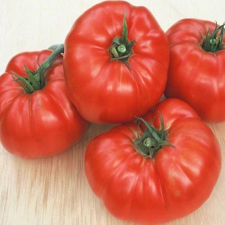 Beefsteak Tomato - Victory Seeds® – Victory Seed Company