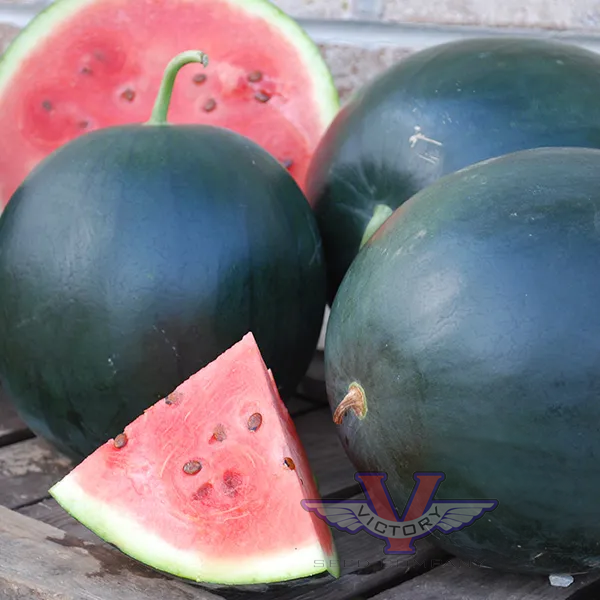 Blacktail Mountain Watermelon