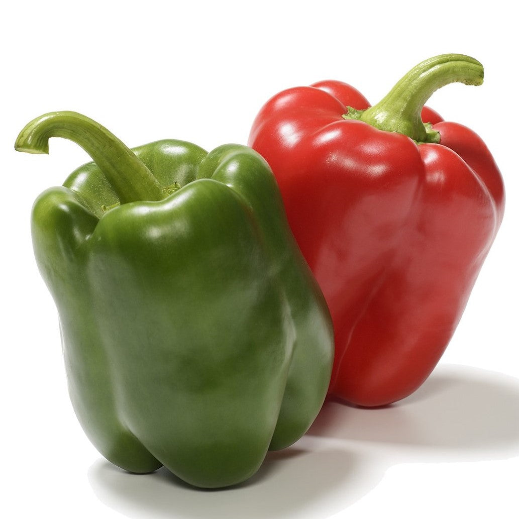 Red Bell Pepper | Two Live Garden Plants | Non-GMO, Sweet, Early Producer