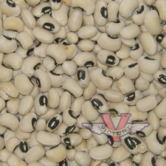 California Blackeye #5 Southern Pea