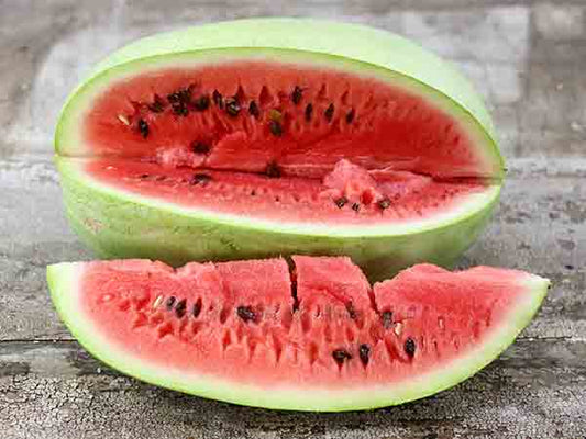 Charleston Gray No. 133 Watermelon