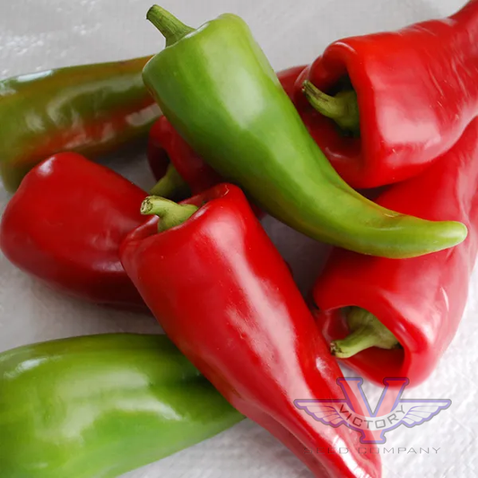 Cubanelle Pepper