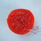 Dixville Tomato