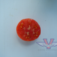 Dwarf Kip's Stripes Tomato