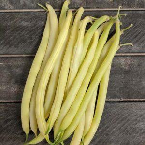 Gold Rush Yellow Wax Garden Bean