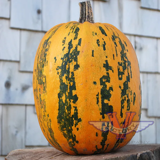 Kakai Pumpkin