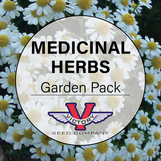 Medicinal Herbs Garden Pack