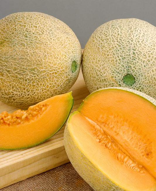 Planter's Jumbo Melon