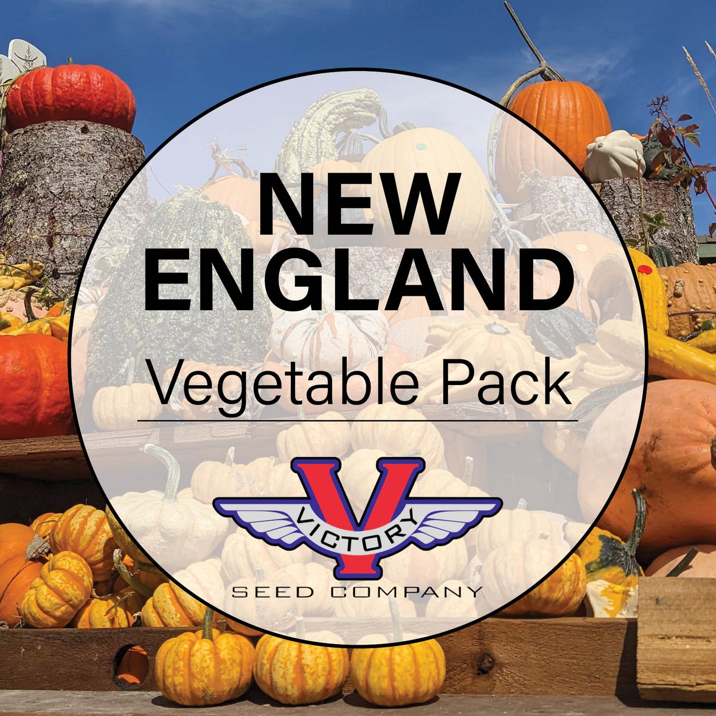 New England Vegetable Garden Pack