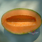 Old Time Tennessee Muskmelon