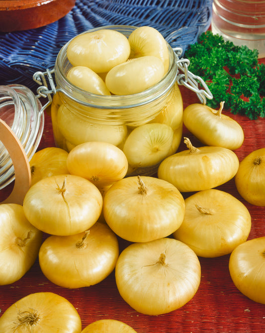 Borettana Cipollini Yellow Onion
