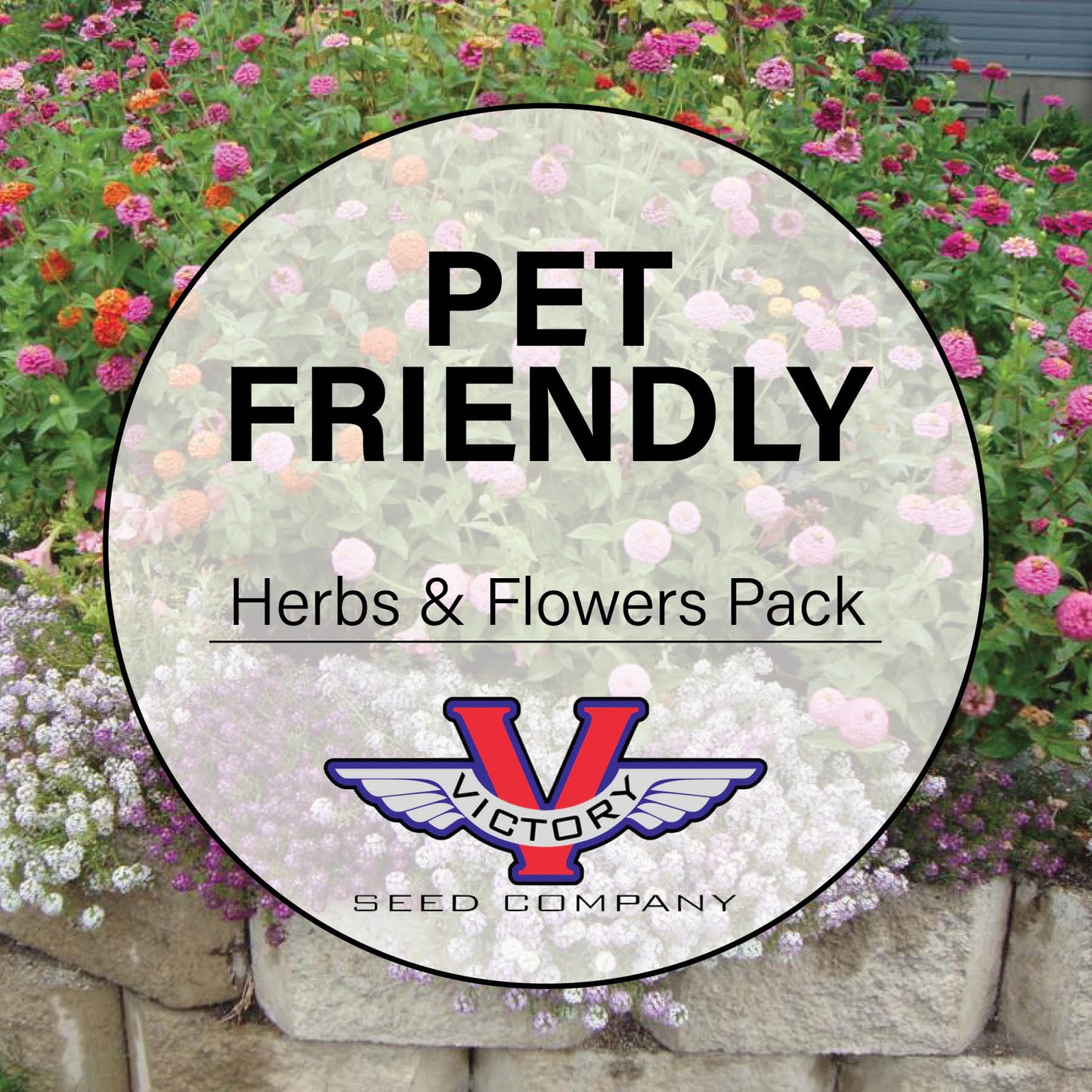 Pet-Friendly Herb and Flower Garden Pack